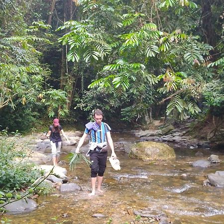 Pongo Guest House & Jungle Trekking Bukit Lawang Buitenkant foto