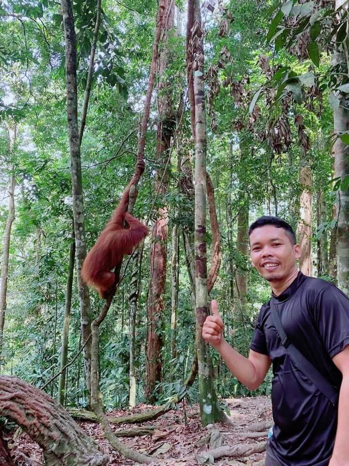 Pongo Guest House & Jungle Trekking Bukit Lawang Buitenkant foto