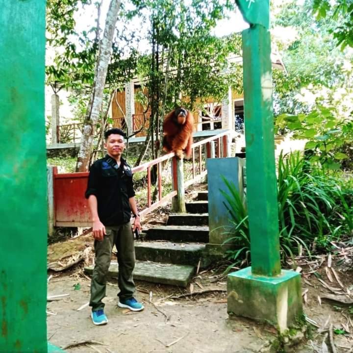 Pongo Guest House & Jungle Trekking Bukit Lawang Buitenkant foto