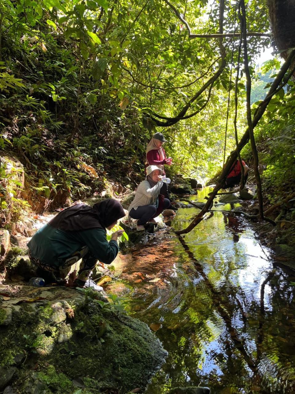 Pongo Guest House & Jungle Trekking Bukit Lawang Buitenkant foto