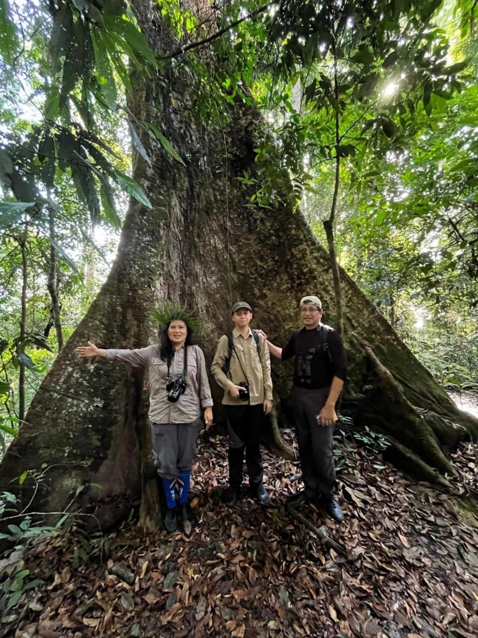 Pongo Guest House & Jungle Trekking Bukit Lawang Buitenkant foto