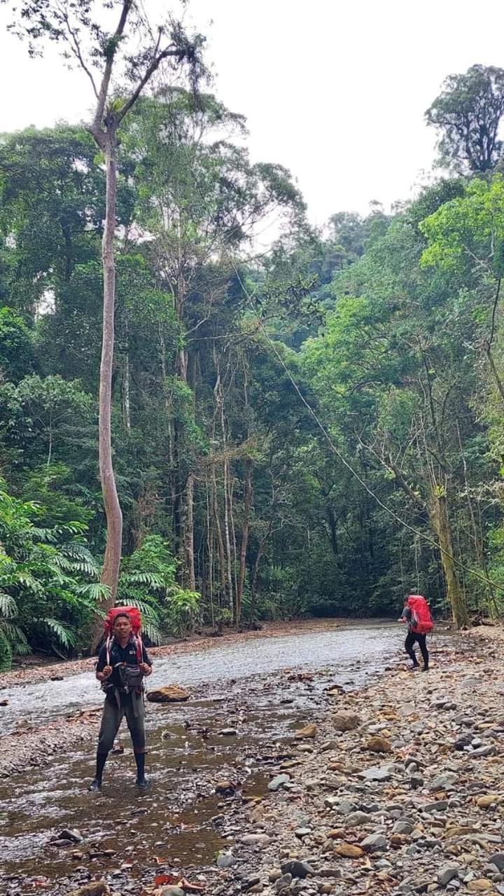 Pongo Guest House & Jungle Trekking Bukit Lawang Buitenkant foto