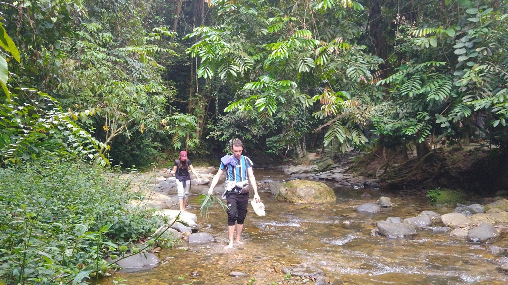 Pongo Guest House & Jungle Trekking Bukit Lawang Buitenkant foto